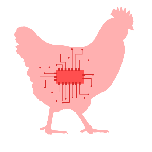 Digital Chicken